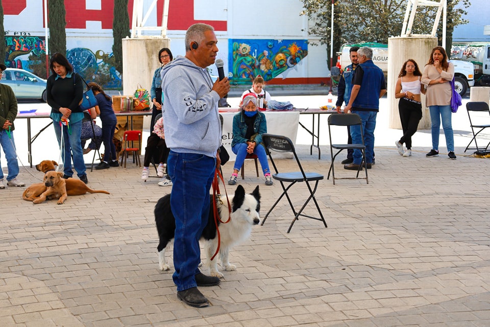 1677000938 178 Imagenes de la Primer Feria Dominical de Adopcion que se