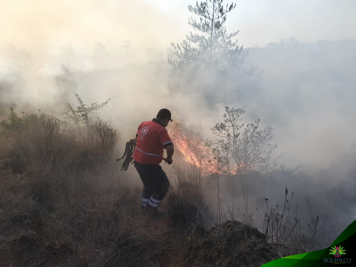 1677002337 621 Cuidando las areas forestales municipales personal de ProteccionCivil y Bombe