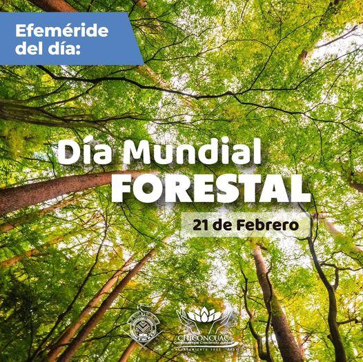 1677002951 21 de marzo Dia mundial forestal el objetivo de este