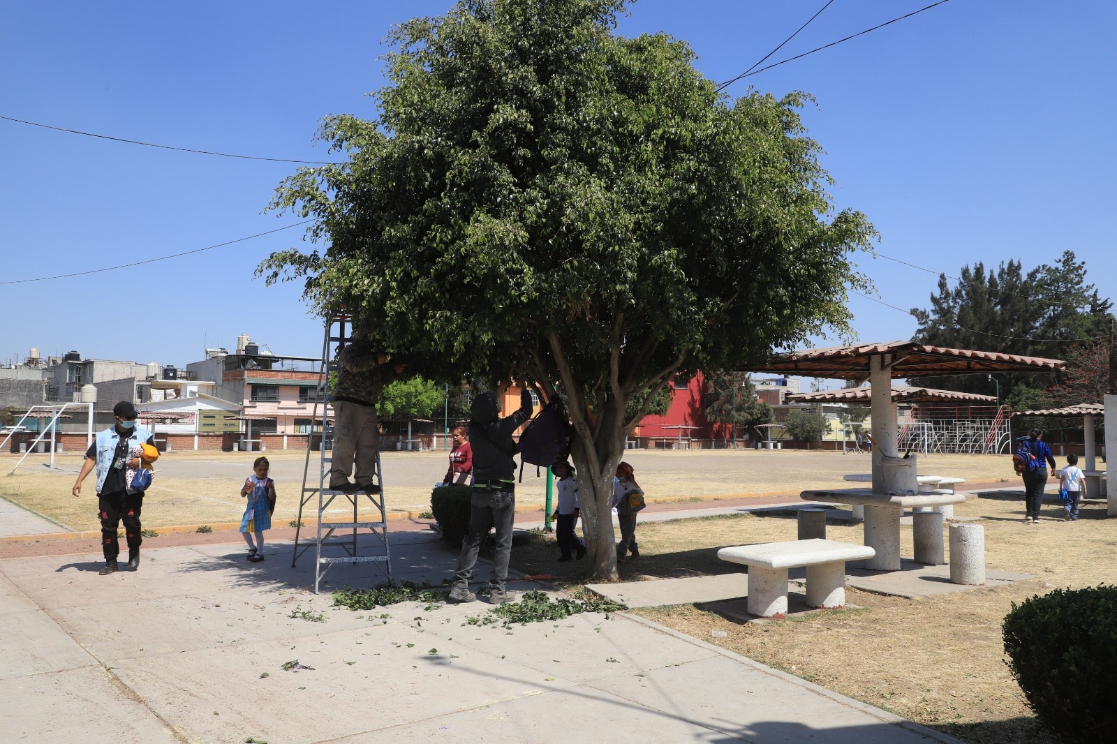 1677017913 318 El cuidado de las areas verdes es fundamental para mejorar