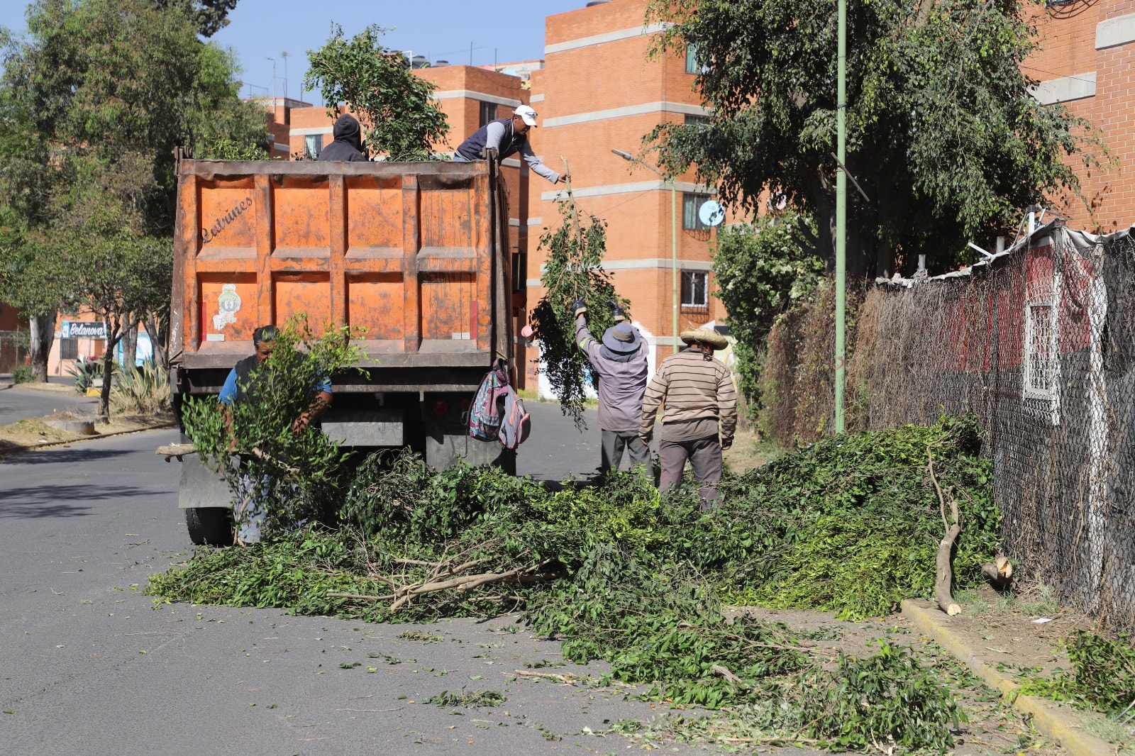 1677017914 650 El cuidado de las areas verdes es fundamental para mejorar