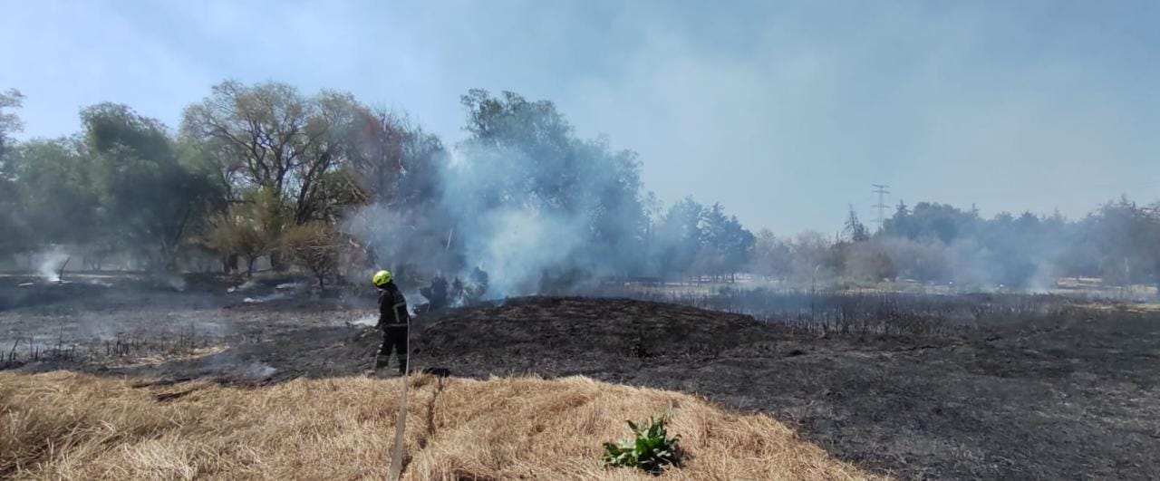 1677019159 224 Elementos de Proteccion Civil y Bomberos sofocaron un incendio en