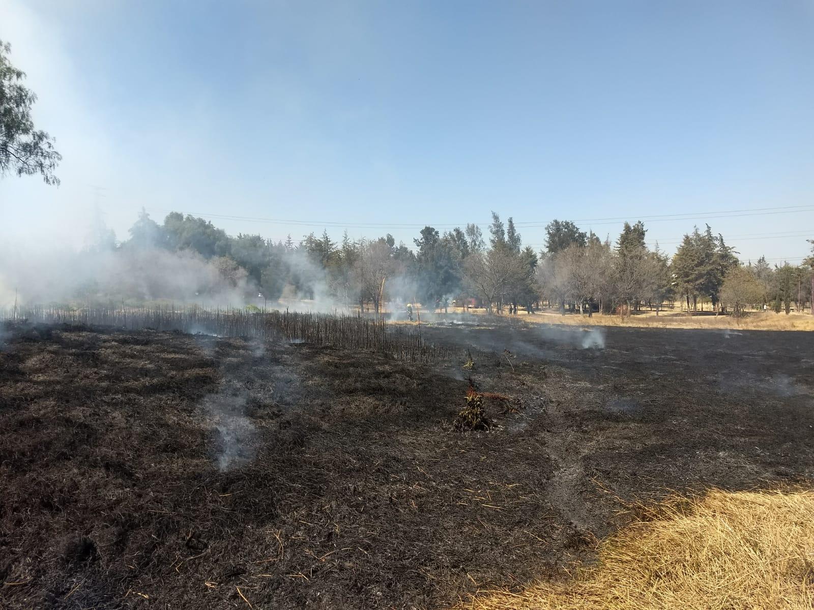 1677019159 466 Elementos de Proteccion Civil y Bomberos sofocaron un incendio en