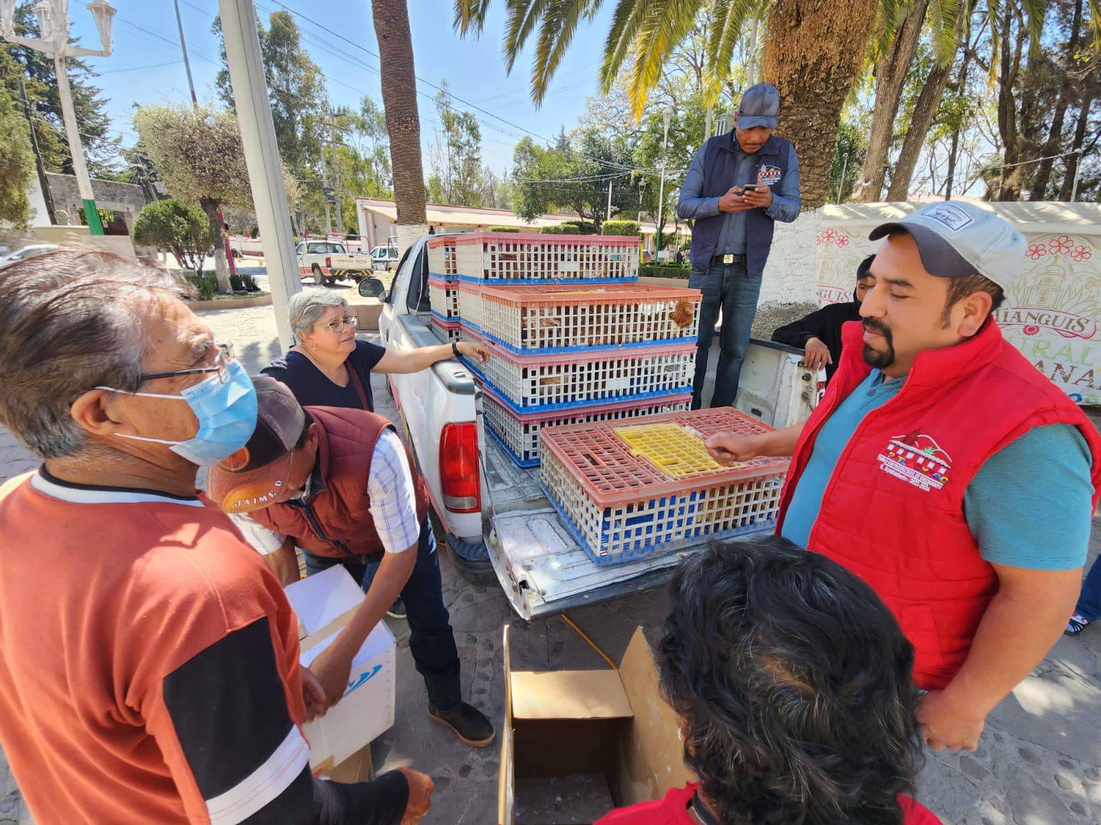 1677073658 543 Se realizo la tercera entrega gallinas de 18 semanas del