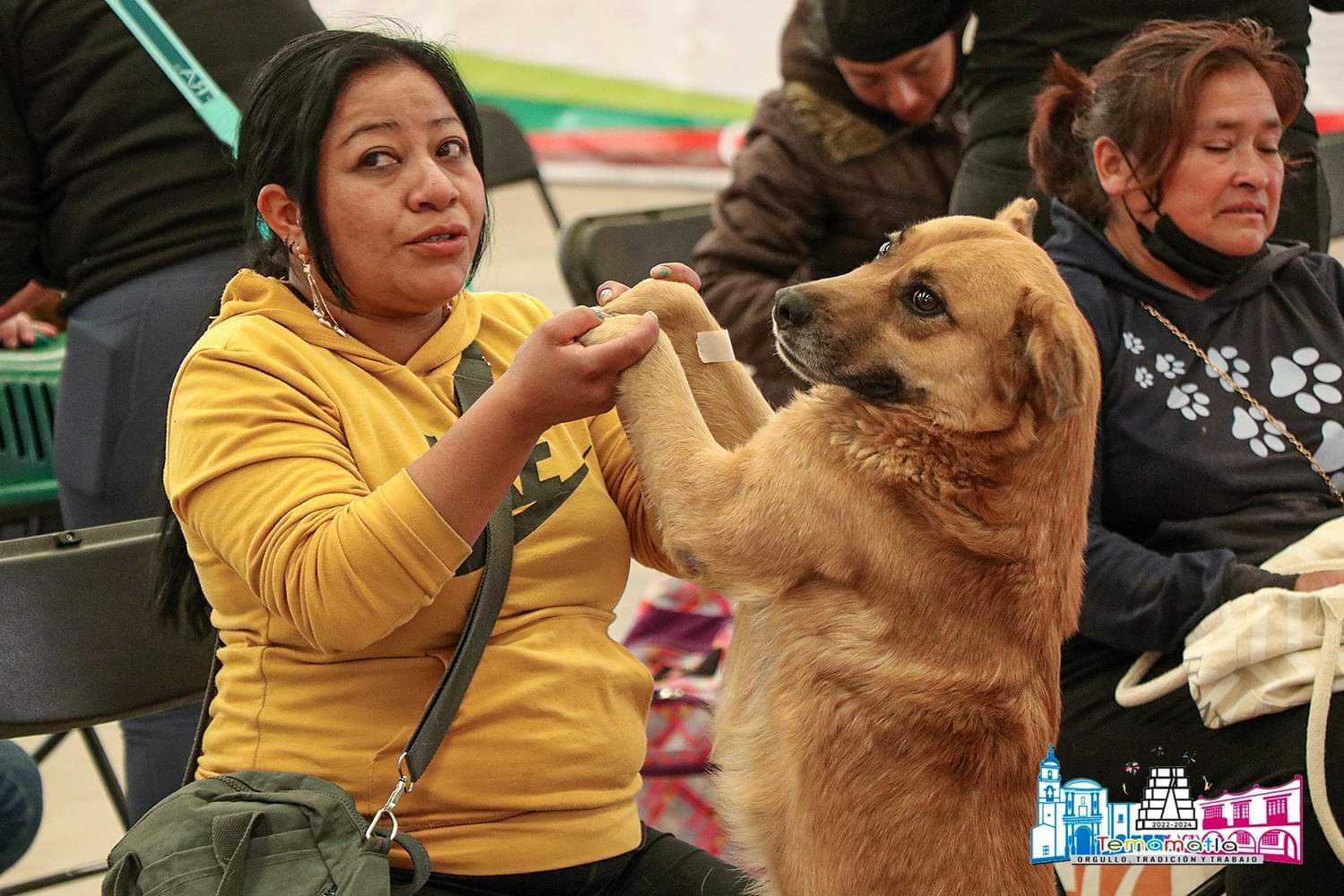 1677073987 69 CampanaDeEsterilizacion ParaTusPerrosYGatos