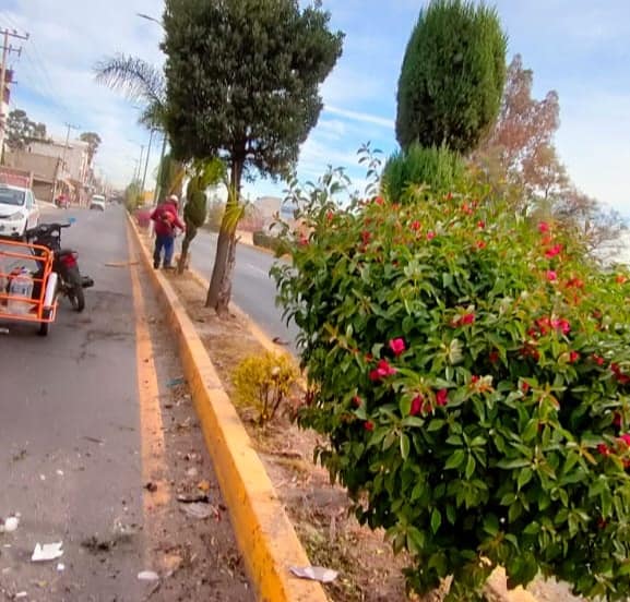 1677091677 158 REALIZAN TRABAJADORES DEL AYUNTAMIENTO FAENA DE LIMPIEZA EN BOULEVARD HIDALGO