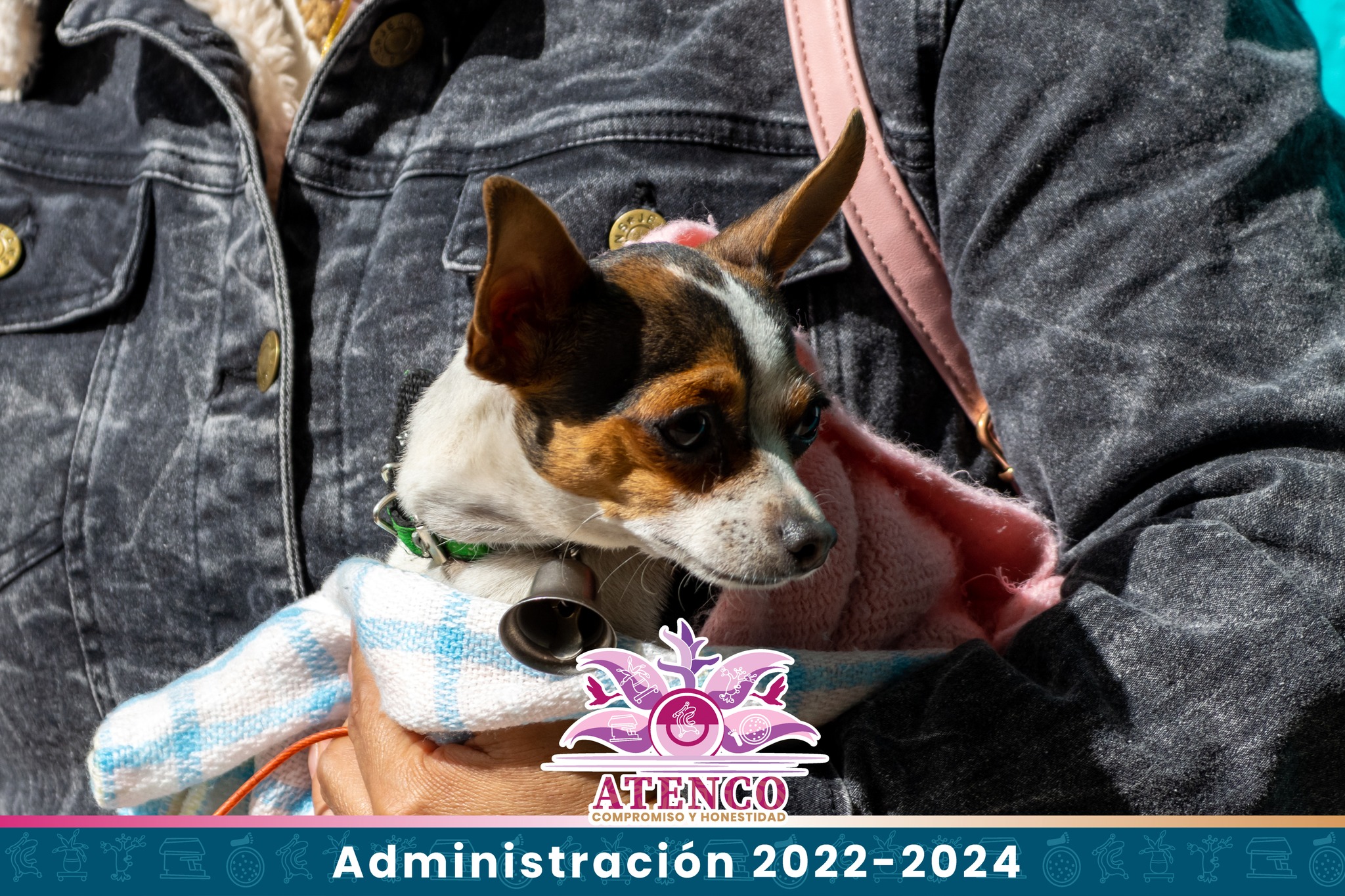 1677092448 10 SEGUNDA JORNADA DE ESTERILIZACION CANINA Y FELINA 2023