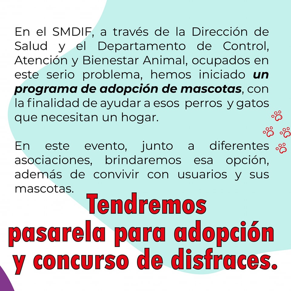 1677096765 827 Con el objetivo de promover la Adopcion de perros y