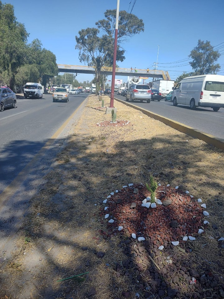 1677170693 237 El Ayuntamiento de Texcoco realiza el embellecimiento de una fraccion