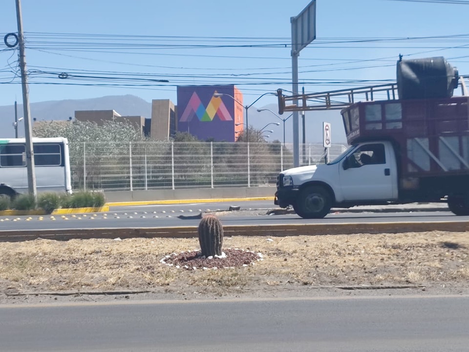 1677170693 717 El Ayuntamiento de Texcoco realiza el embellecimiento de una fraccion