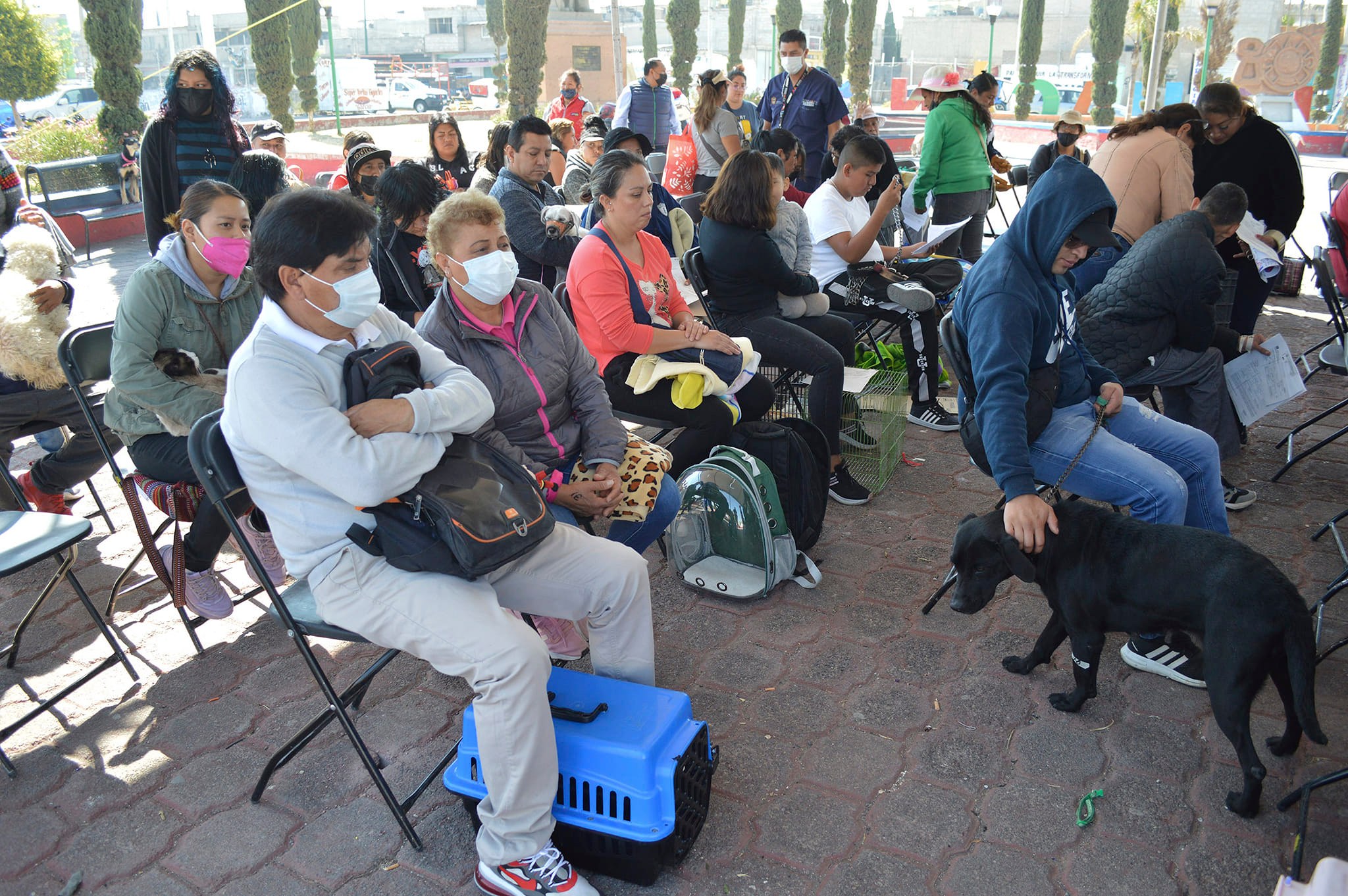 1677194628 711 GOBIERNO DE CHIMALHUACAN REALIZA CAMPANA MEDICA Y DE ESTERILIZACION EN