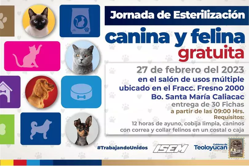 1677330230 Jornada de esterilizacion canina y felina jpg