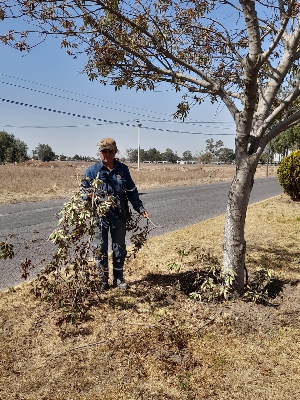 1677426953 768 El Gobierno Municipal de Jaltenco que preside la C Rosario