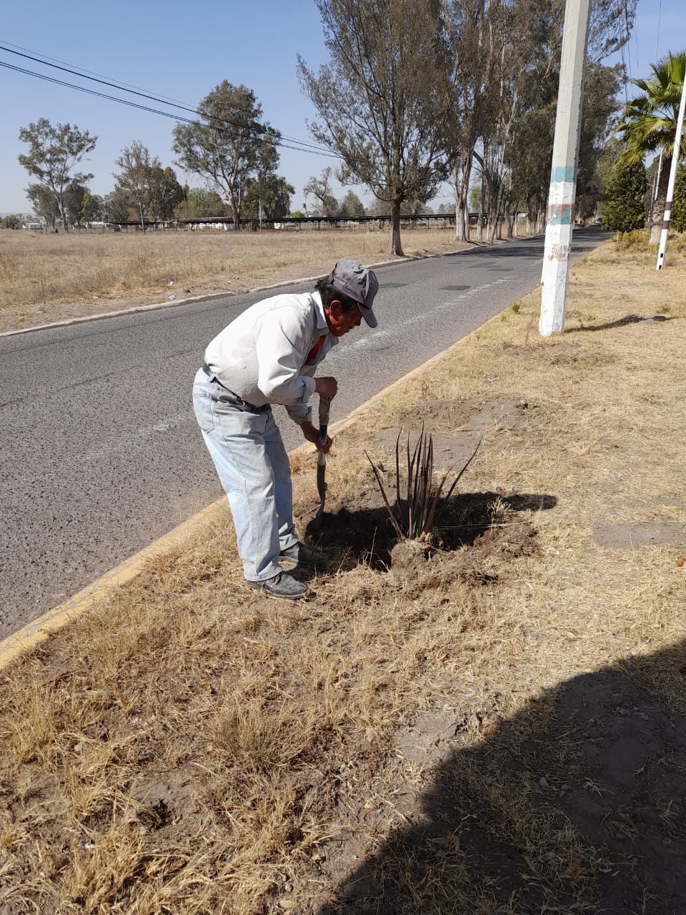 1677426954 600 El Gobierno Municipal de Jaltenco que preside la C Rosario