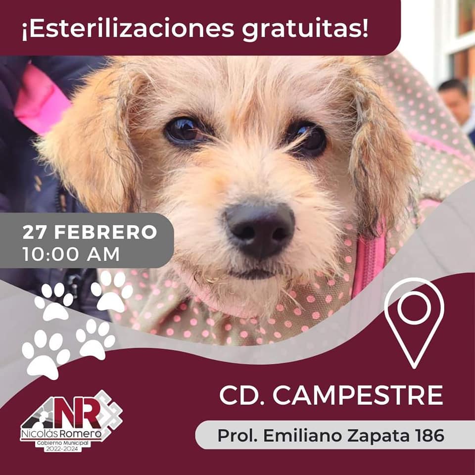 1677433793 772 Te compartimos las ubicaciones de nuestra jornada de esterilizacion gratuita