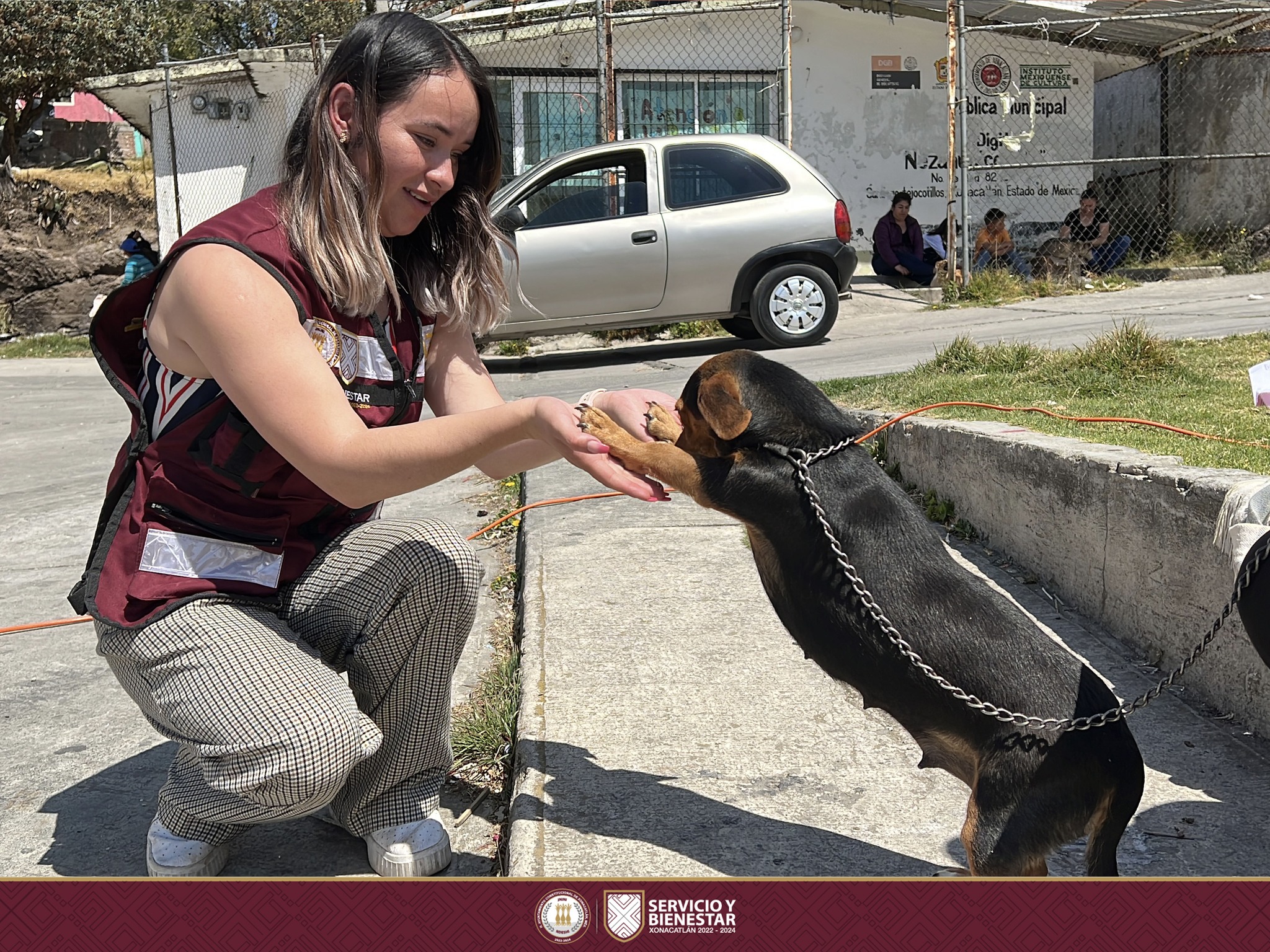 1677539621 958 Sabemos lo importante que las mascotas son para todos y