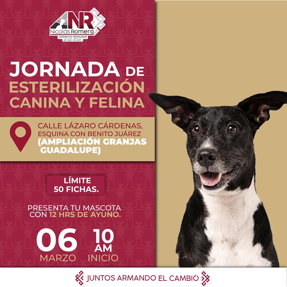 1677601554 520 Continuamos con nuestras jornadas de esterilizacion gratuita Estas son las