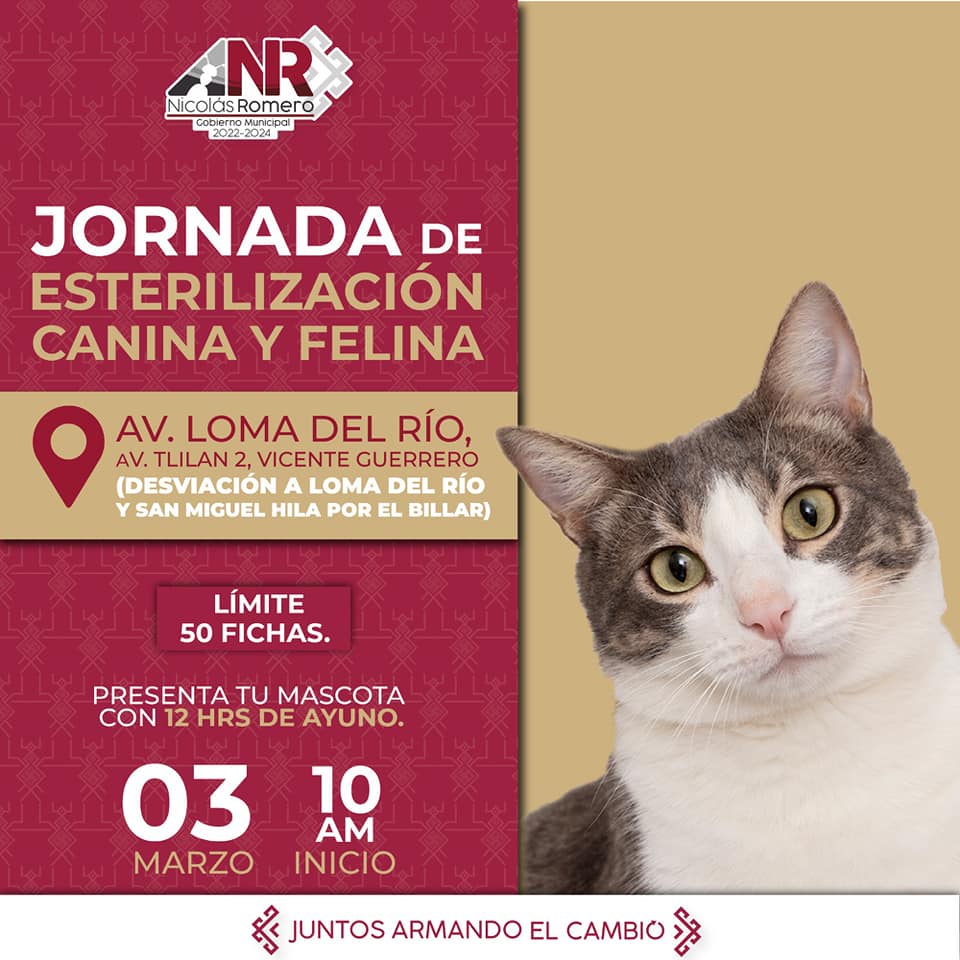 1677601555 727 Continuamos con nuestras jornadas de esterilizacion gratuita Estas son las