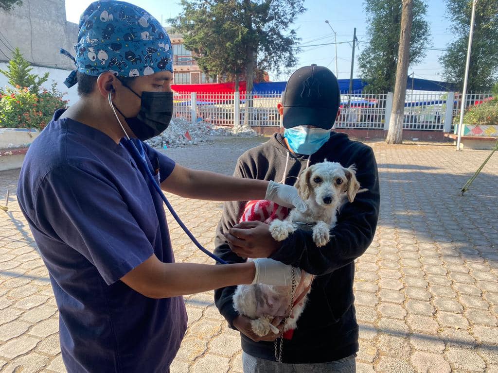 1677609037 466 Esterilizar es un acto de amor y en Metepec amamos