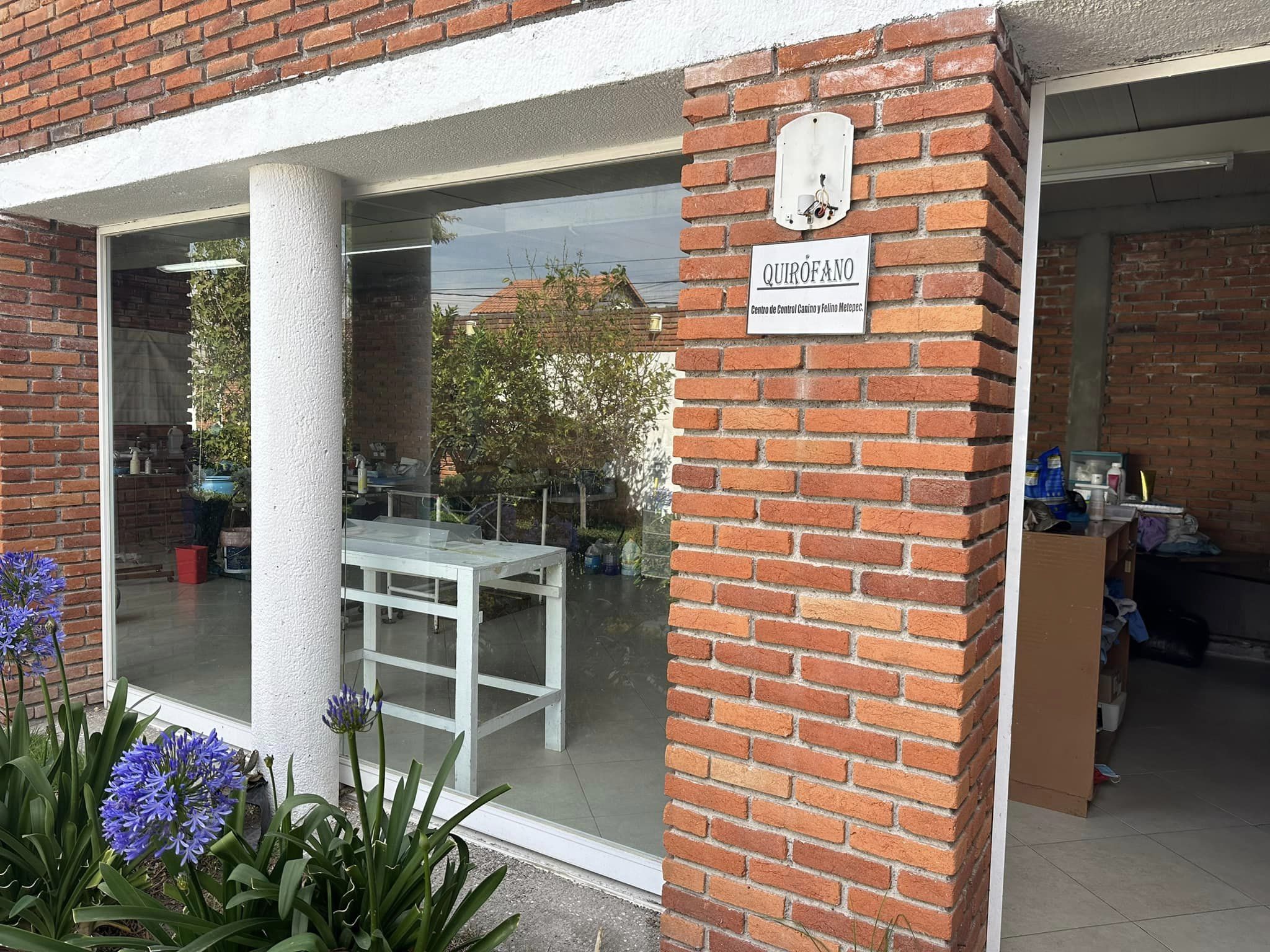 1677609037 744 Esterilizar es un acto de amor y en Metepec amamos