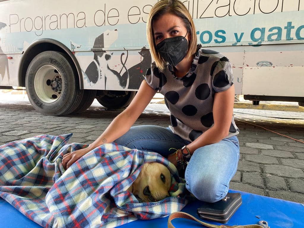 1677609038 764 Esterilizar es un acto de amor y en Metepec amamos