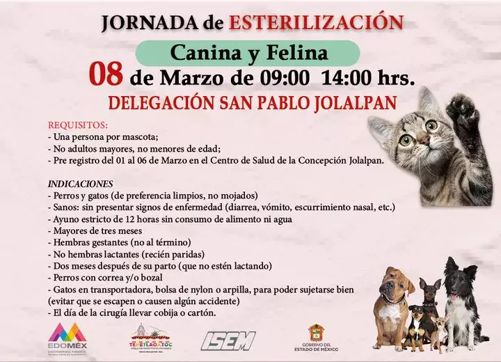 1677615287 Jornada de esterilizacion canina y felina jpg