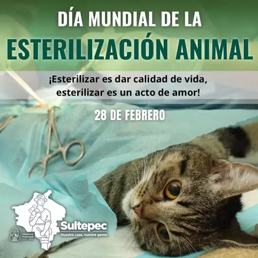 28 de febrero DIA MUNDIAL DE LA ESTERILIZACION ANIMAL jpg