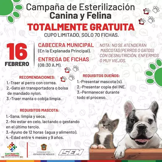 AGENDALO La JornadadeEsterilizacion para perritos y gatitos sera este jueve jpg