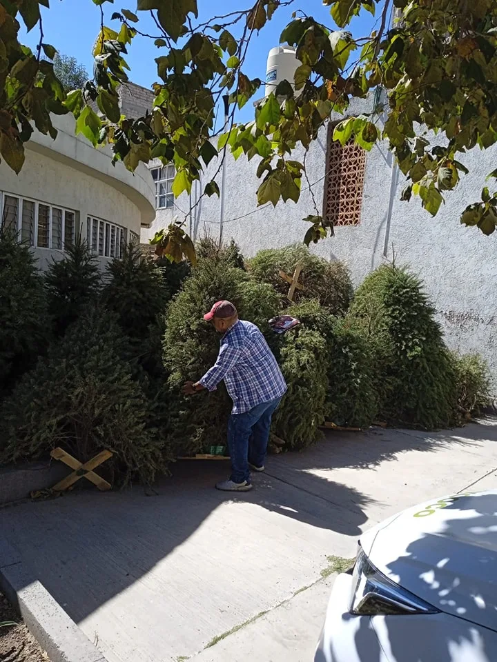 Agradecemos a los participantes en el reciclaje de arboles de jpg