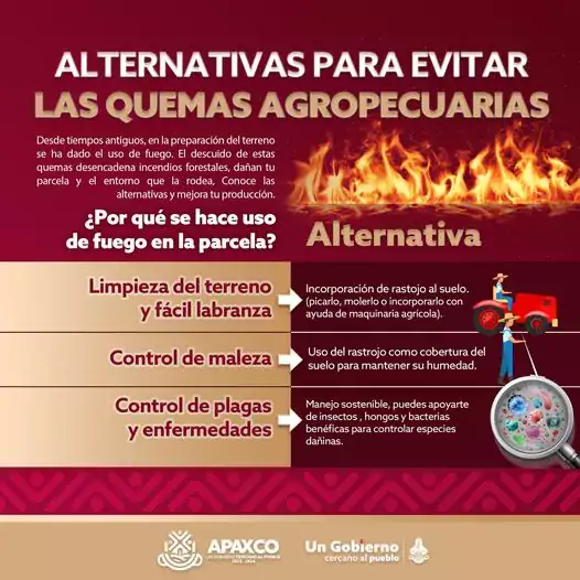 CONOCE LAS ALTERNATIVAS PARA EVITAR LAS QUEMAS AGROPECUARIAS jpg