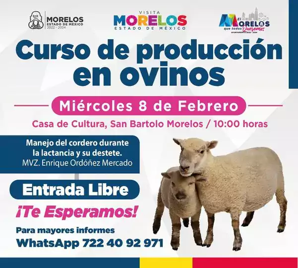 CURSO DE PRODUCCION DE OVINOS jpg