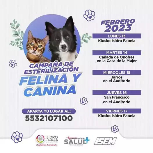 CampanaDeEsterilizacion FelinayCanina Este mes de febrero demuestrale tu amo jpg