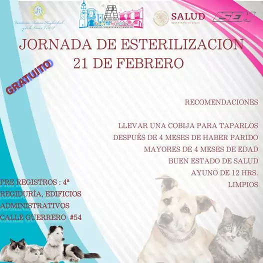 CampanaDeEsterilizacion Salud jpg