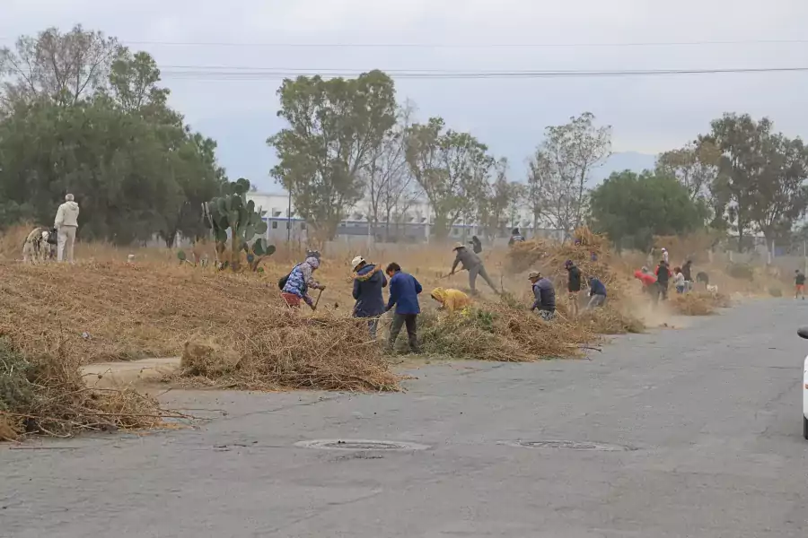 Con los trabajos de corte de pasto recoleccion de basura jpg