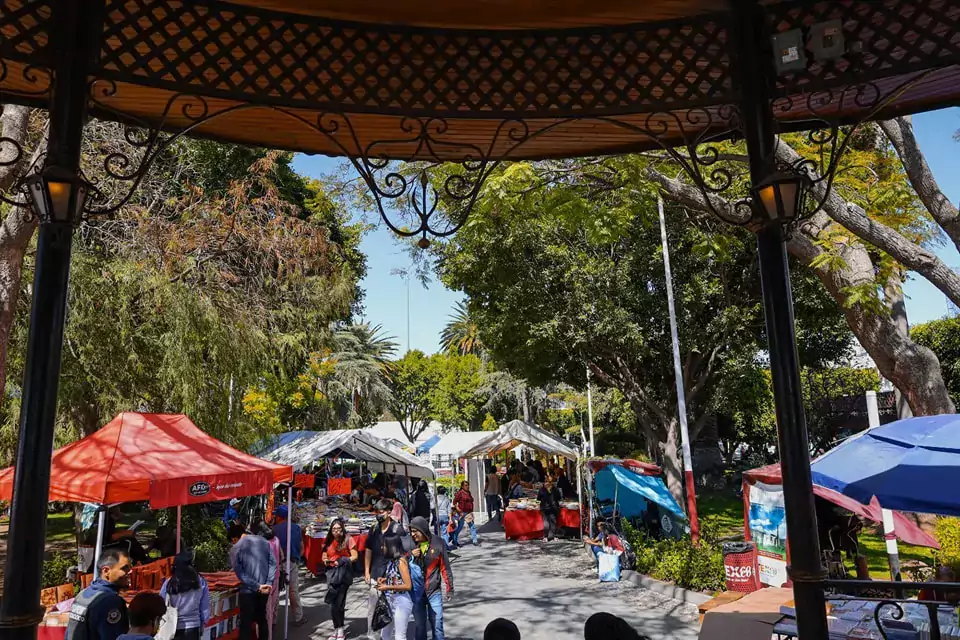 Continua la IX FeriaDelLibro Texcoco en el Jardin Municipal Es jpg