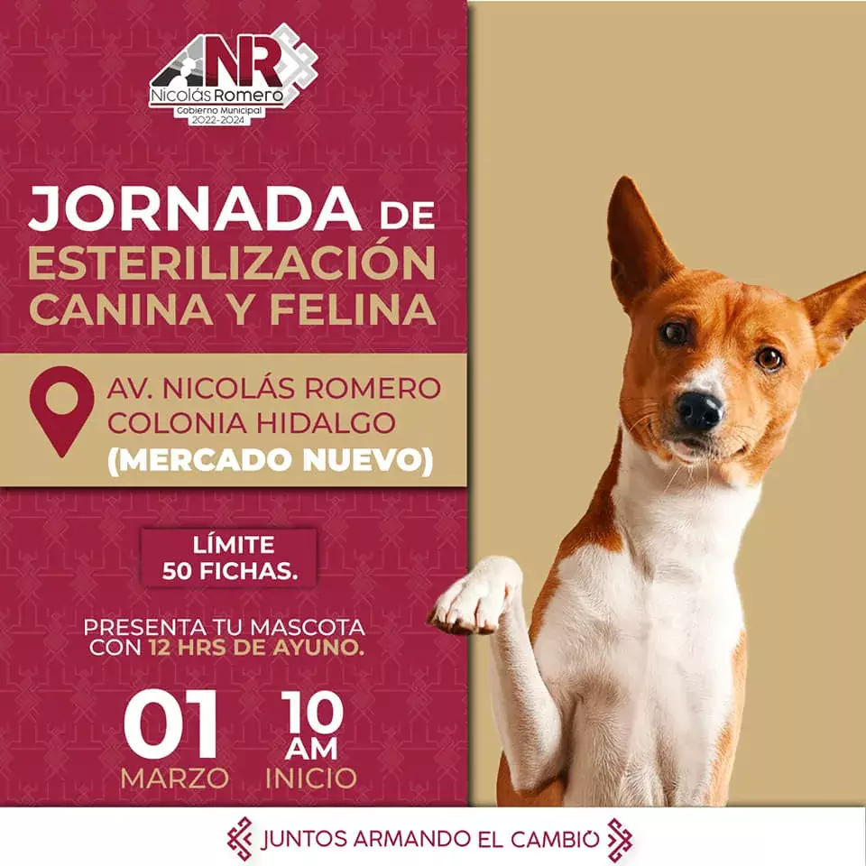 Continuamos con nuestras jornadas de esterilizacion gratuita Estas son las jpg