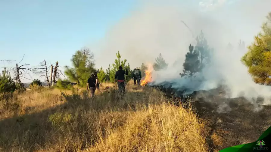 Cuidando las areas forestales municipales personal de ProteccionCivil y Bombe jpg