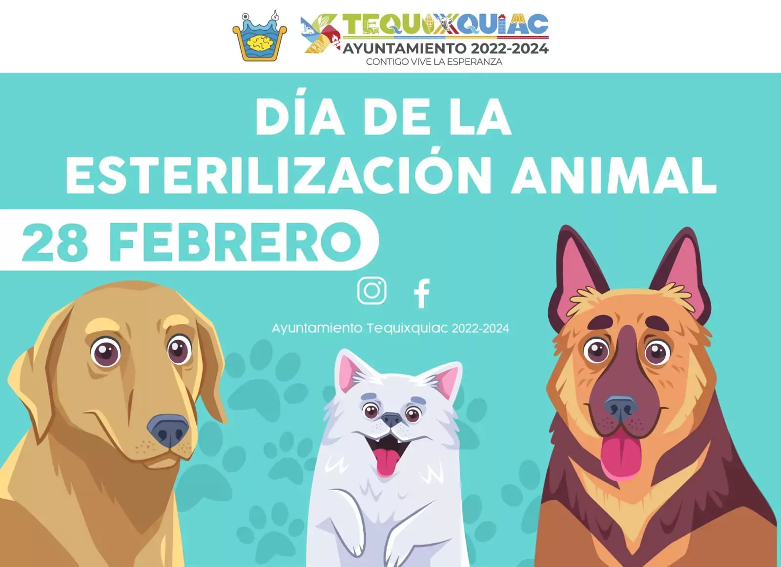 Cuidar de nuestros animales es mas que proveer alimento y jpg