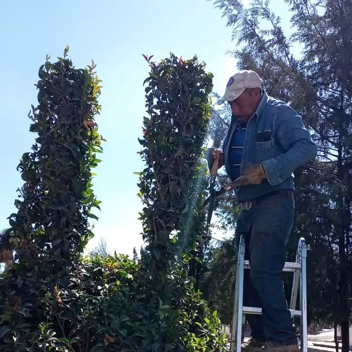 Dias atras personal de Parques y Jardines pertenecientes a la jpg