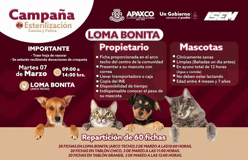 EN LOMA BONITA CAMPANA DE ESTERILIZACION CANINA Y FELINA jpg