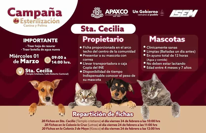 ESTERILIZACION CANINA Y FELINA EN SANTA CECILIA jpg