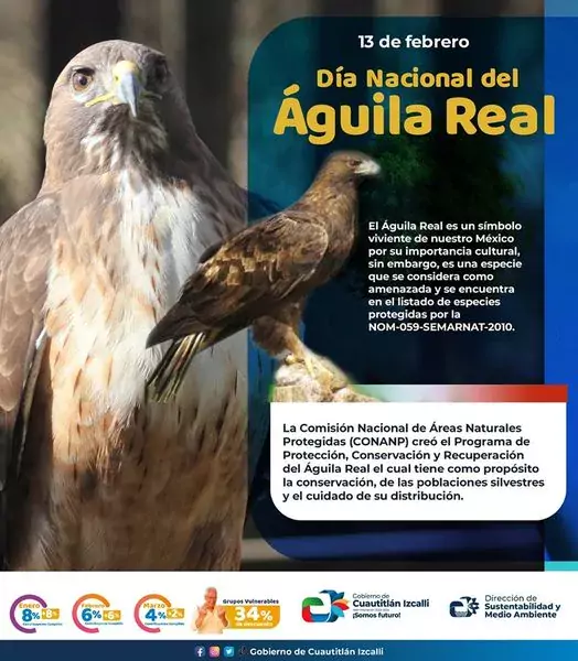 El Águila Real es un símbolo de nuestro país por su importancia cultural,  sin em - Estado de México