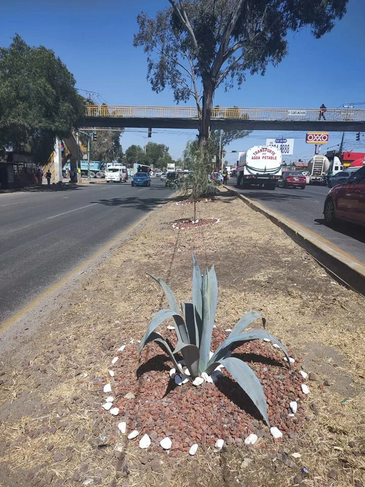 El Ayuntamiento de Texcoco realiza el embellecimiento de una fraccion jpg