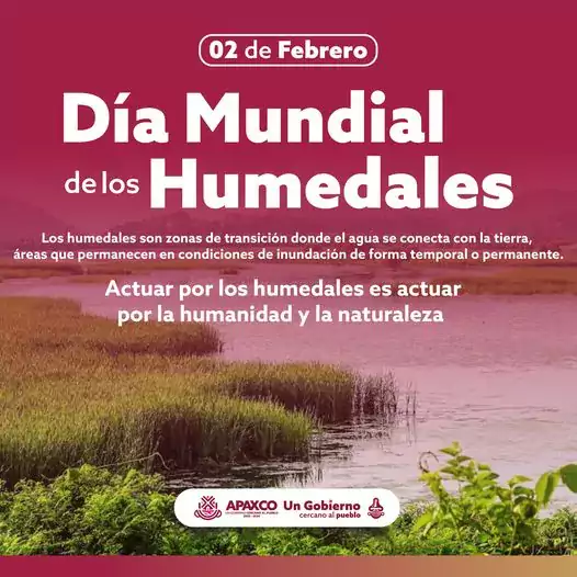 El Dia Mundial de los Humedales se celebra cada ano jpg