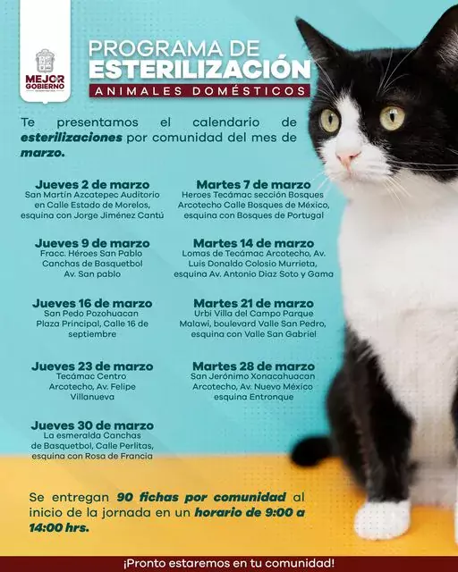 El ultimo martes de febrero se celebra el DiaMundialdelaEsterilizacionAnimal jpg