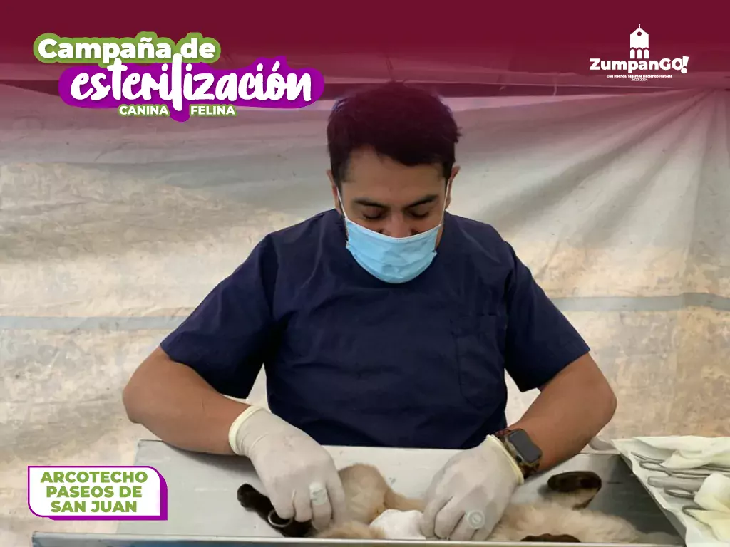 En ZumpanGO esterilizar es un acto de amor jpg