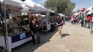 EnVivo Arranco la segunda edicion del Festival del Vino y