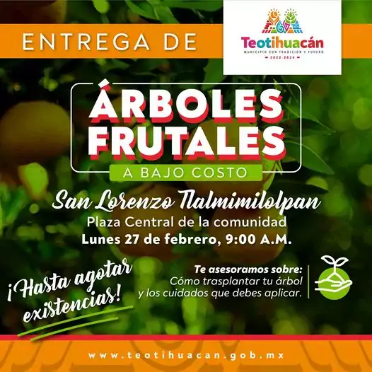 Entrega de arboles frutales a bajo costo jpg