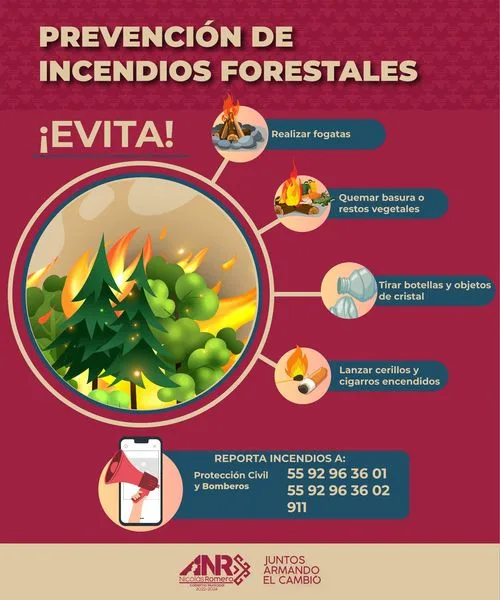 Estamos en plena temporada de incendios forestales jpg