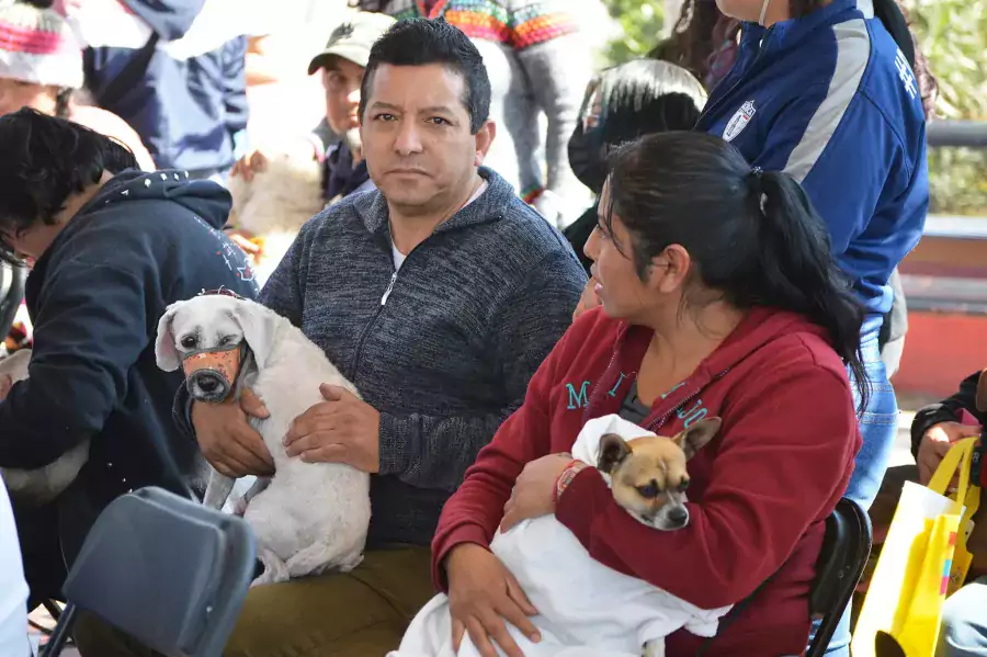 GOBIERNO DE CHIMALHUACAN REALIZA CAMPANA MEDICA Y DE ESTERILIZACION EN jpg